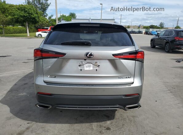 JTJSARBZ0M2182344 2021 LEXUS NX Серебряный Вид сзади