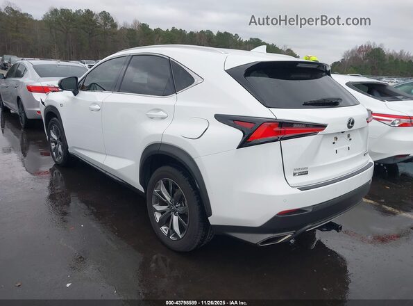 JTJSARBZ5L5012980 2020 LEXUS NX 300 White Tył lewy