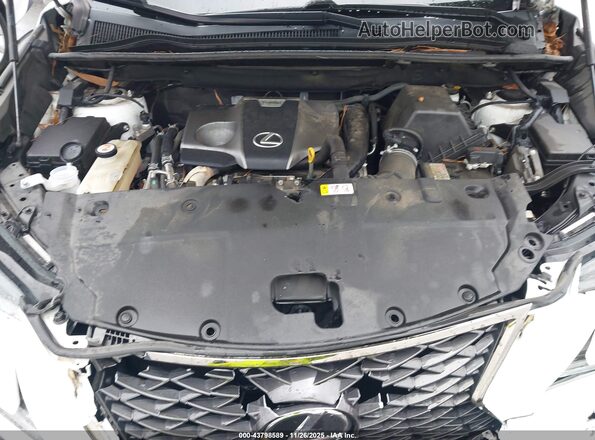 JTJSARBZ5L5012980 2020 LEXUS NX 300 White Widok z tyłu
