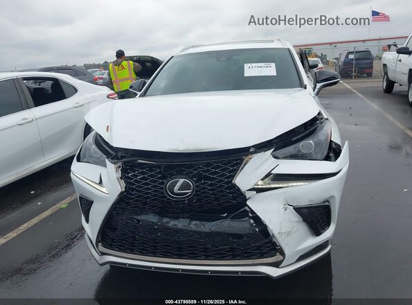 JTJSARBZ5L5012980 2020 LEXUS NX 300 White Widok z przodu
