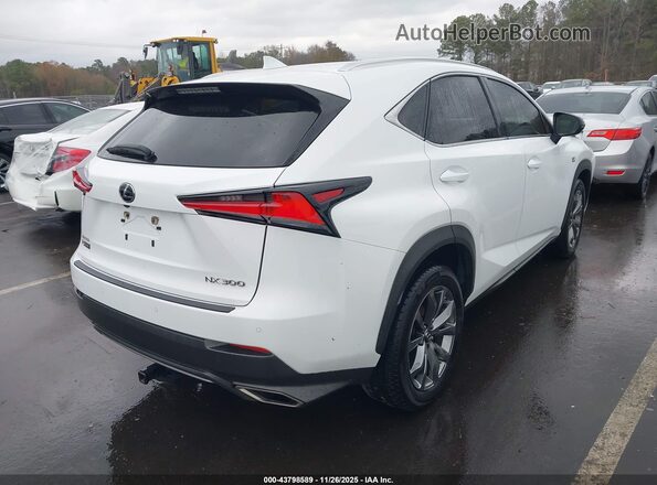 JTJSARBZ5L5012980 2020 LEXUS NX 300 White Tył prawy