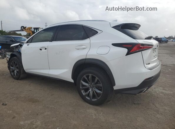 JTJSARBZ9M5022168 2021 LEXUS NX Белый Задняя левая четверть