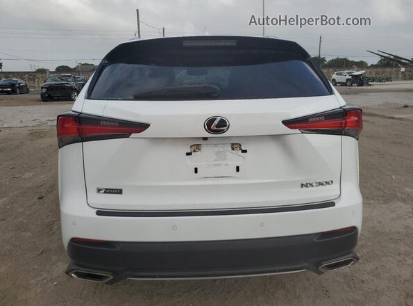 JTJSARBZ9M5022168 2021 LEXUS NX Белый Вид сзади
