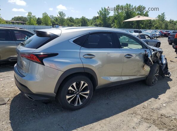 JTJSARDZ3M2245613 2021 LEXUS NX Silver Հետևի աջ