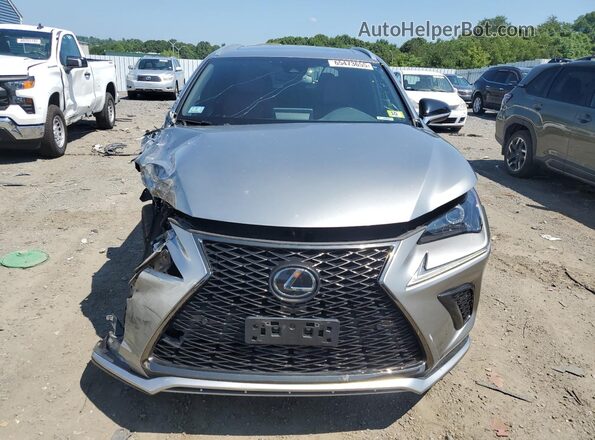 JTJSARDZ3M2245613 2021 LEXUS NX Silver Դիմացի տեսք
