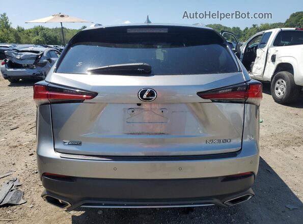 JTJSARDZ3M2245613 2021 LEXUS NX Silver Հետևի տեսք