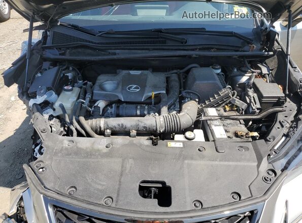 JTJSARDZ3M2245613 2021 LEXUS NX Silver Շարժիչի բաժամունքի տեսք