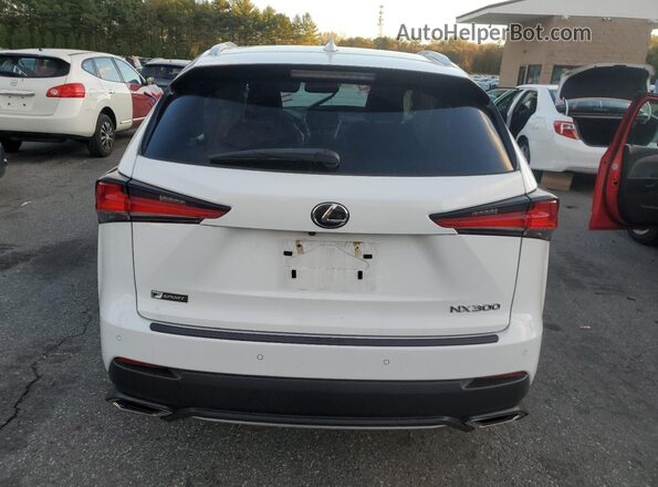 JTJSARDZ4L2235395 2020 LEXUS NX Белый Вид сзади