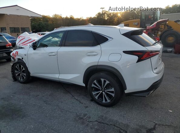 JTJSARDZ4L2235395 2020 LEXUS NX Белый Задняя левая четверть