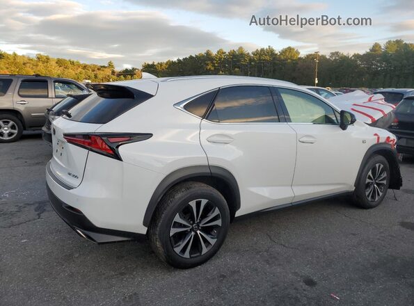 JTJSARDZ4L2235395 2020 LEXUS NX Белый Задняя правая четверть