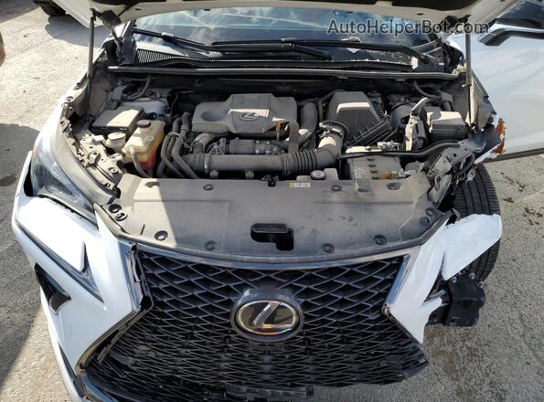 JTJSARDZ4M2261108 2021 LEXUS NX Белый Вид задней части салона