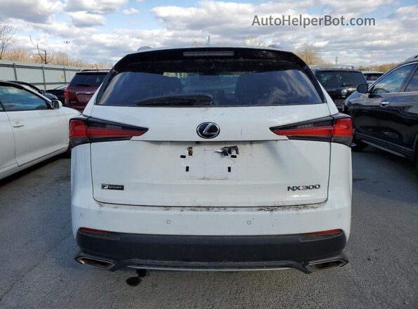 JTJSARDZ4M2261108 2021 LEXUS NX Белый Вид сзади