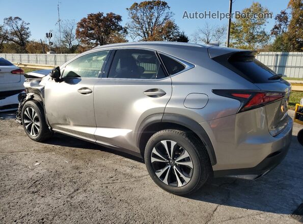 JTJSARDZ7M2248160 2021 LEXUS NX Silver Հետևի ձախ