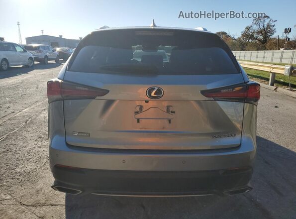 JTJSARDZ7M2248160 2021 LEXUS NX Silver Հետևի տեսք