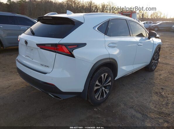 JTJSARDZXL5003897 2020 LEXUS NX 300 White Tył prawy