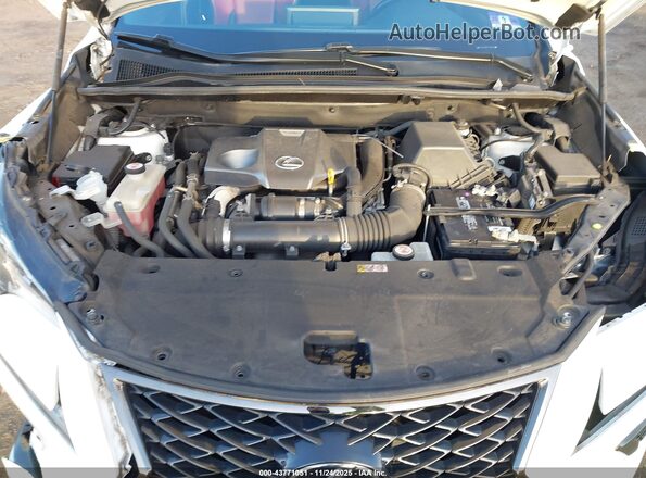JTJSARDZXL5003897 2020 LEXUS NX 300 White Widok z tyłu