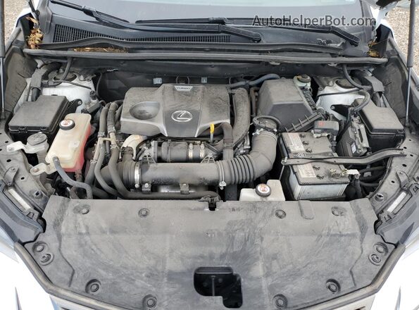 JTJSARDZXL5007111 2020 LEXUS NX White Widok komory silnika