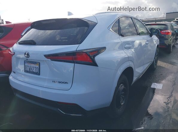 JTJSJRDZ7M5010498 2021 LEXUS NX 300H Белый Задняя правая четверть