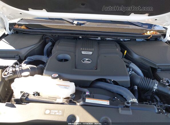 JTJTBCDX8S5036585 2025 LEXUS GX 550 White Vista trasera