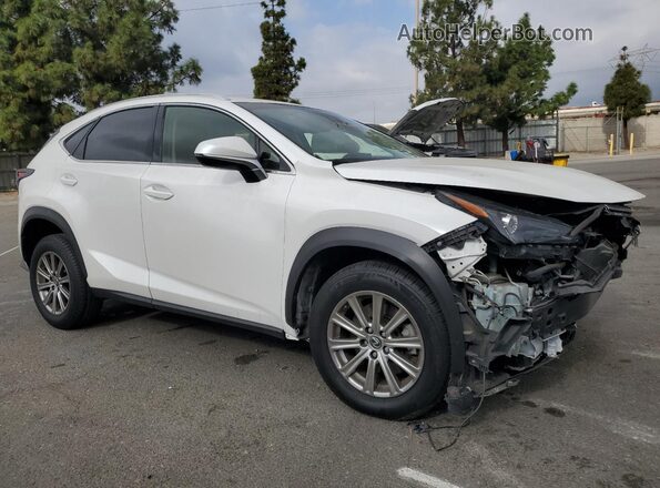 JTJYARBZ0K2123205 2019 LEXUS NX White წინა მარჯვენა