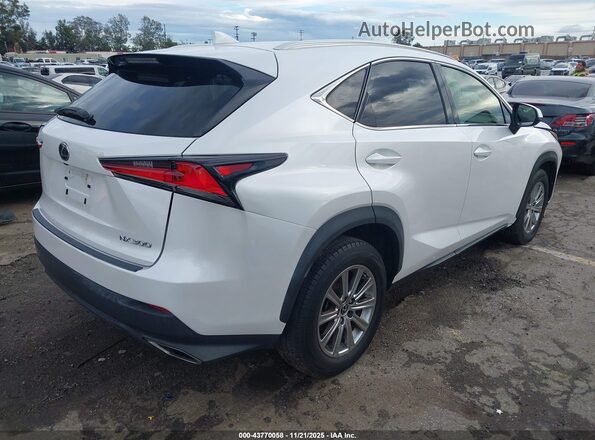 JTJYARBZ0K2123205 2019 LEXUS NX 300 White Задня права чверть