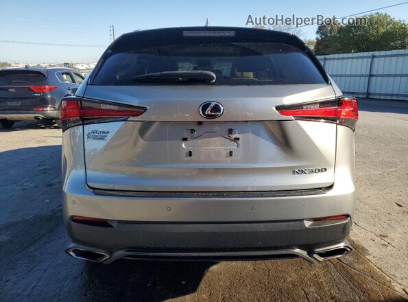 JTJYARBZ1J2110087 2018 LEXUS NX Silver 