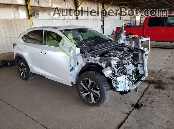 JTJYARBZ2J2100748 2018 LEXUS NX Белый 