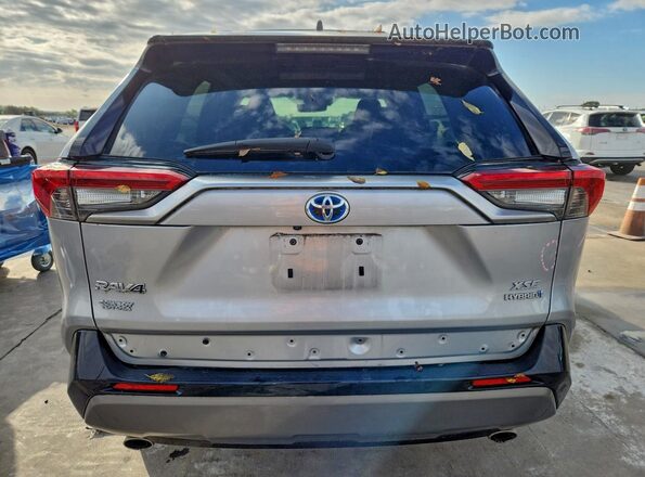 JTMEWRFV7LJ036570 2020 TOYOTA RAV4 Silver Widok z tyłu