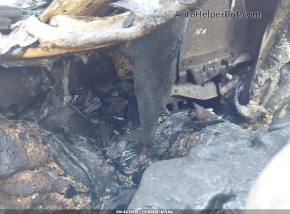 JTMFB3FVXRD167657 2024 TOYOTA RAV4 PRIME Черный Вид задних сидений