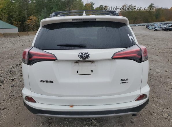 JTMRFREV1JJ243374 2018 TOYOTA RAV4 Белый Вид сзади