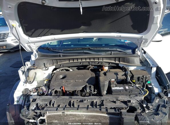 KM8J3CAL0LU150737 2020 HYUNDAI TUCSON Белый Вид сзади