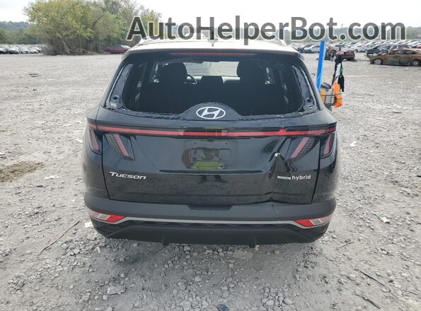 KM8JFCA10NU073599 2022 HYUNDAI TUCSON Black Widok z tyłu