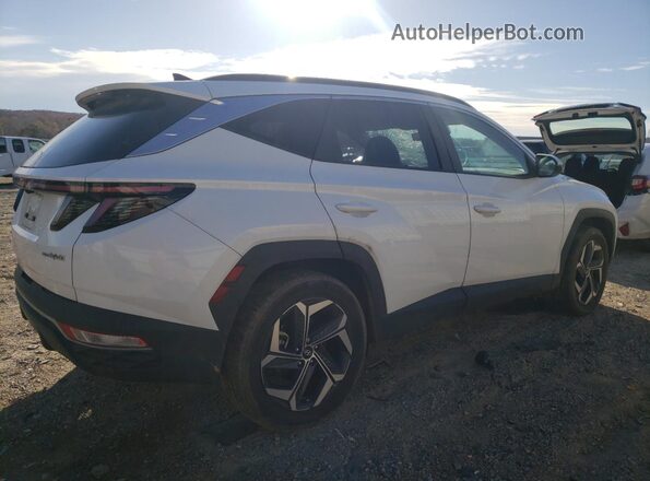 KM8JFCA10PU121007 2023 HYUNDAI TUCSON White Задня права чверть