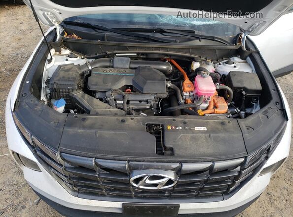 KM8JFCA10PU121007 2023 HYUNDAI TUCSON White Вид підкапотного простору