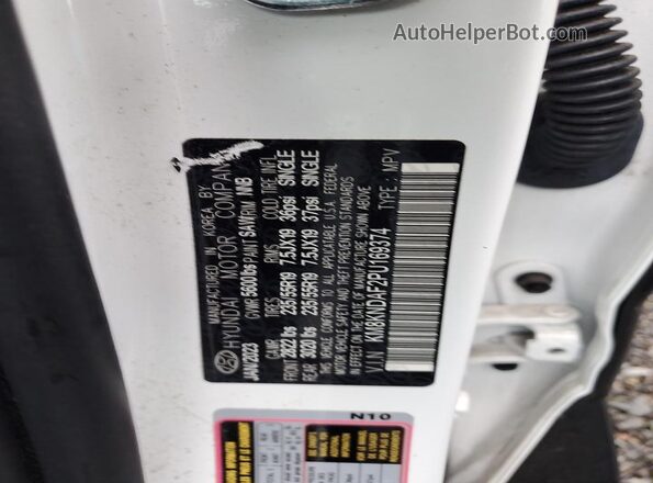 KM8KNDAF2PU169374 2023 HYUNDAI IONIQ White 