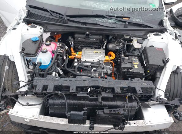 KM8KNDDF5RU299759 2024 HYUNDAI IONIQ 5 Белый Вид сзади