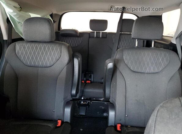 KM8R2DHE9LU134054 2020 HYUNDAI PALISADE Silver უკანა სავარძლების ხედი