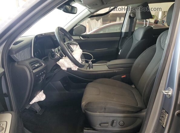 KM8R2DHE9LU134054 2020 HYUNDAI PALISADE Silver წინა სალონის ხედი