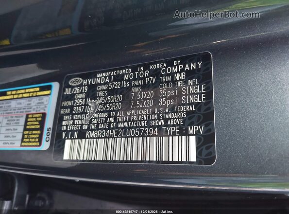 KM8R34HE2LU057394 2020 HYUNDAI PALISADE Gray Շարժիչի բաժամունքի տեսք