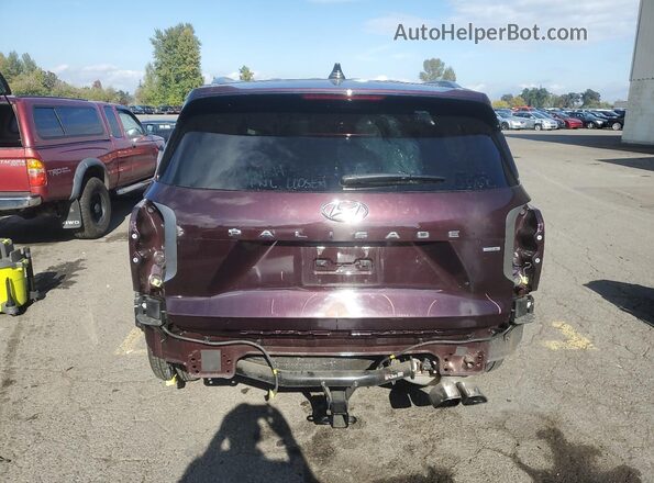 KM8R4DHE0LU056399 2020 HYUNDAI PALISADE Burgundy Widok z tyłu
