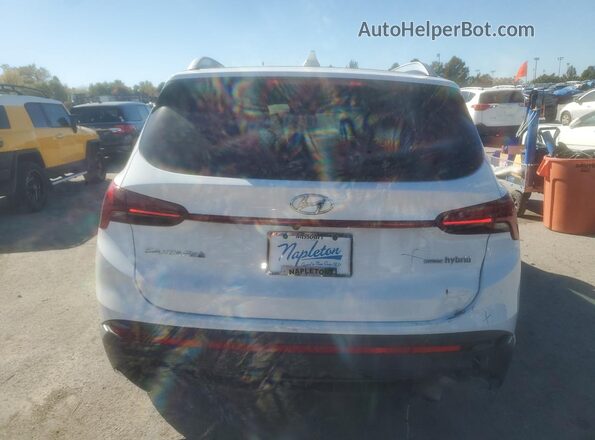 KM8S3DA13NU036629 2022 HYUNDAI SANTA Белый Вид сзади