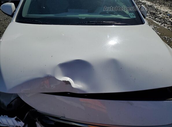 KMHC65LC4LU233466 2020 HYUNDAI IONIQ White Widok wnętrza z tyłu