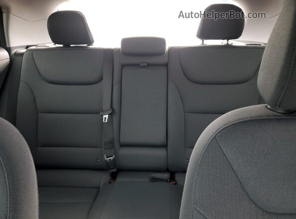 KMHC85LC9LU235689 2020 HYUNDAI IONIQ Red Rear seats view