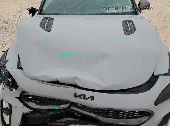 KNAE55LC3P6126741 2023 KIA STINGER Серый Вид задней части салона