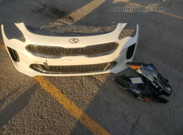KNAE55LC7K6064138 2019 KIA STINGER White Engine compartment view