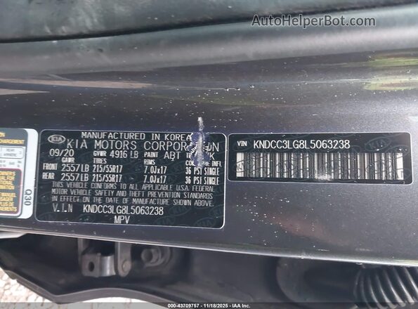 KNDCC3LG8L5063238 2020 KIA NIRO EV Gray Widok komory silnika