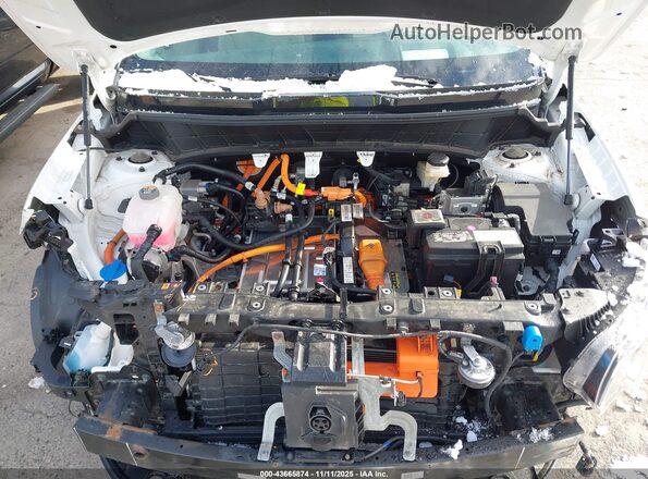 KNDCT3L18P5019998 2023 KIA NIRO EV Белый Вид сзади