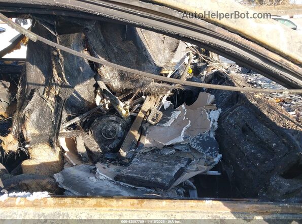 KNDMB5C12L6645652 2020 KIA SEDONA Белый 
