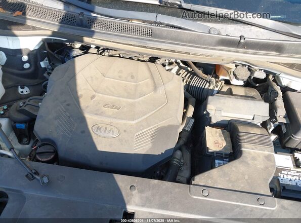 KNDMB5C19L6577883 2020 KIA SEDONA Белый 