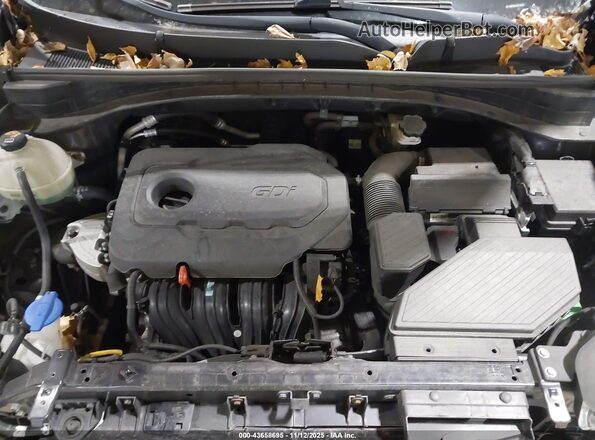 KNDPM3AC5L7706163 2020 KIA SPORTAGE Black Rear view